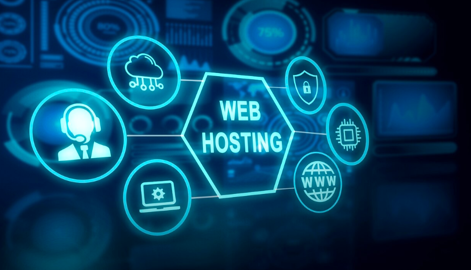 Domain & web hosting